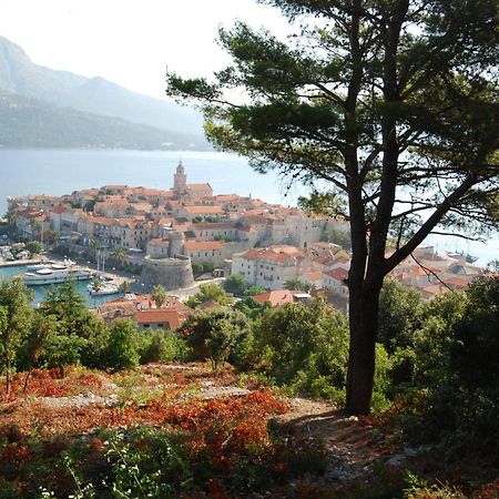 Villa Nova Vela Luka Εξωτερικό φωτογραφία