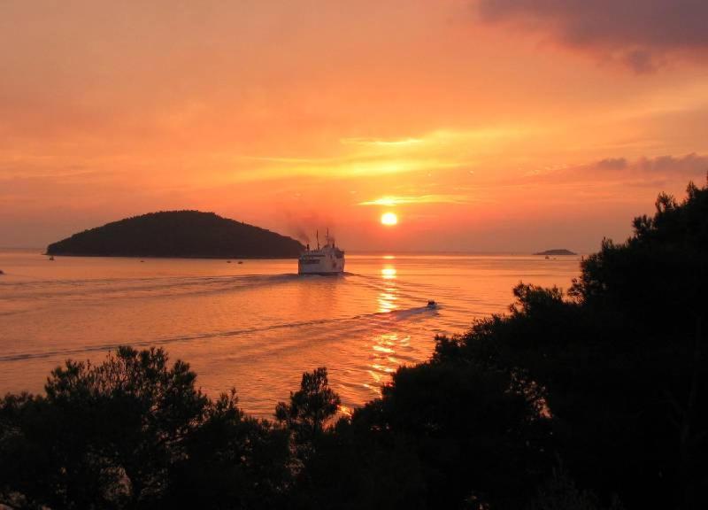 Villa Nova Vela Luka Εξωτερικό φωτογραφία